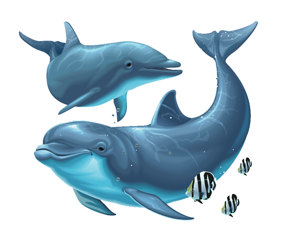clipart dolphin group dolphin