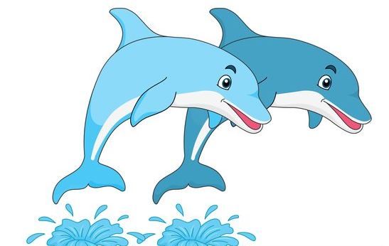 clipart dolphin illustrator