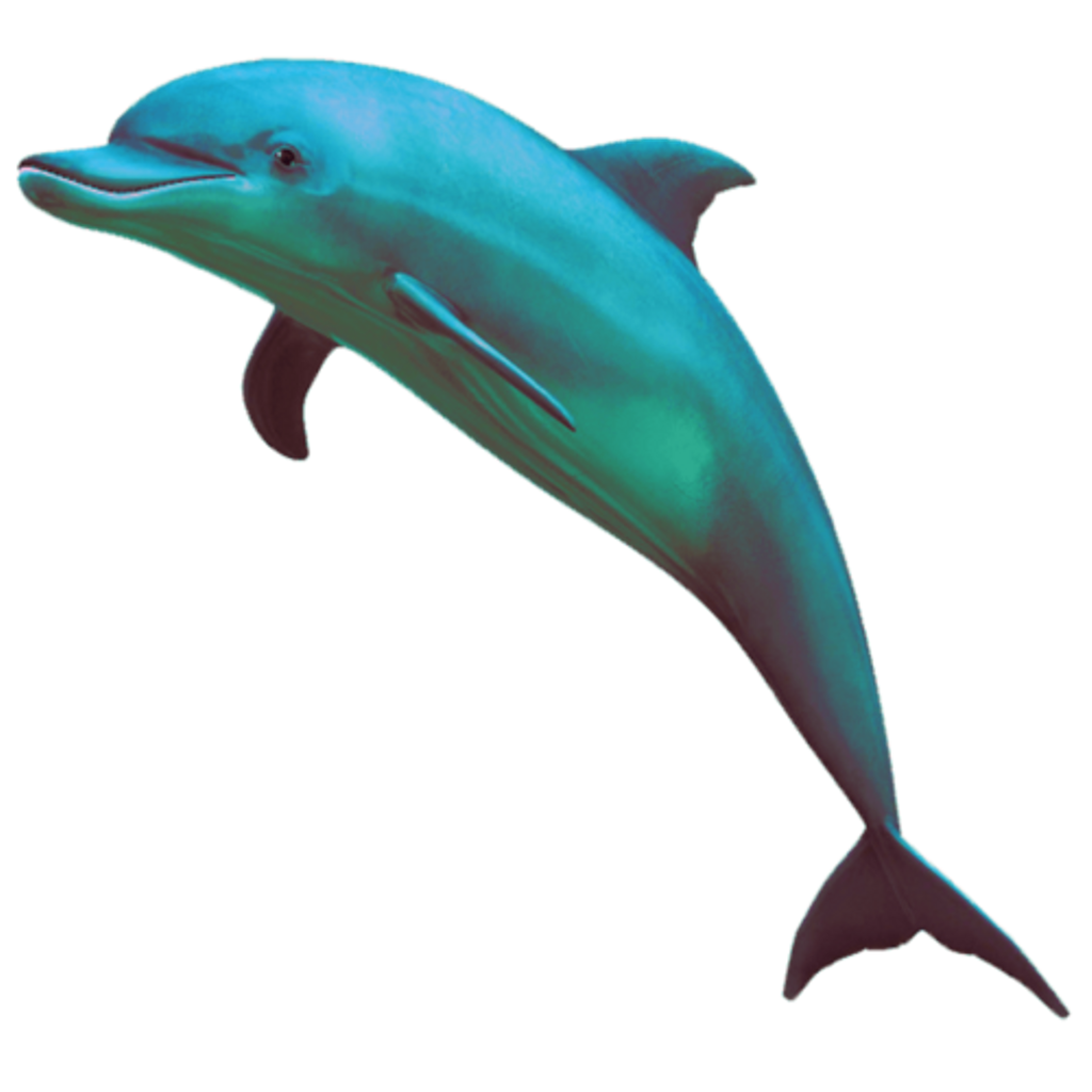 clipart dolphin kawaii