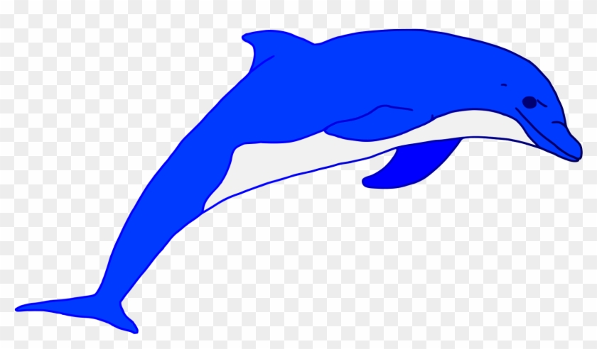 clipart dolphin living thing