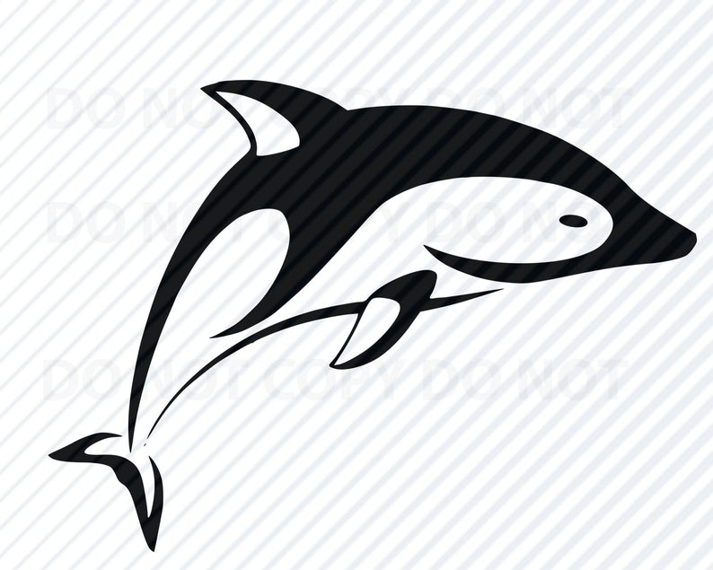 dolphin clipart mammal