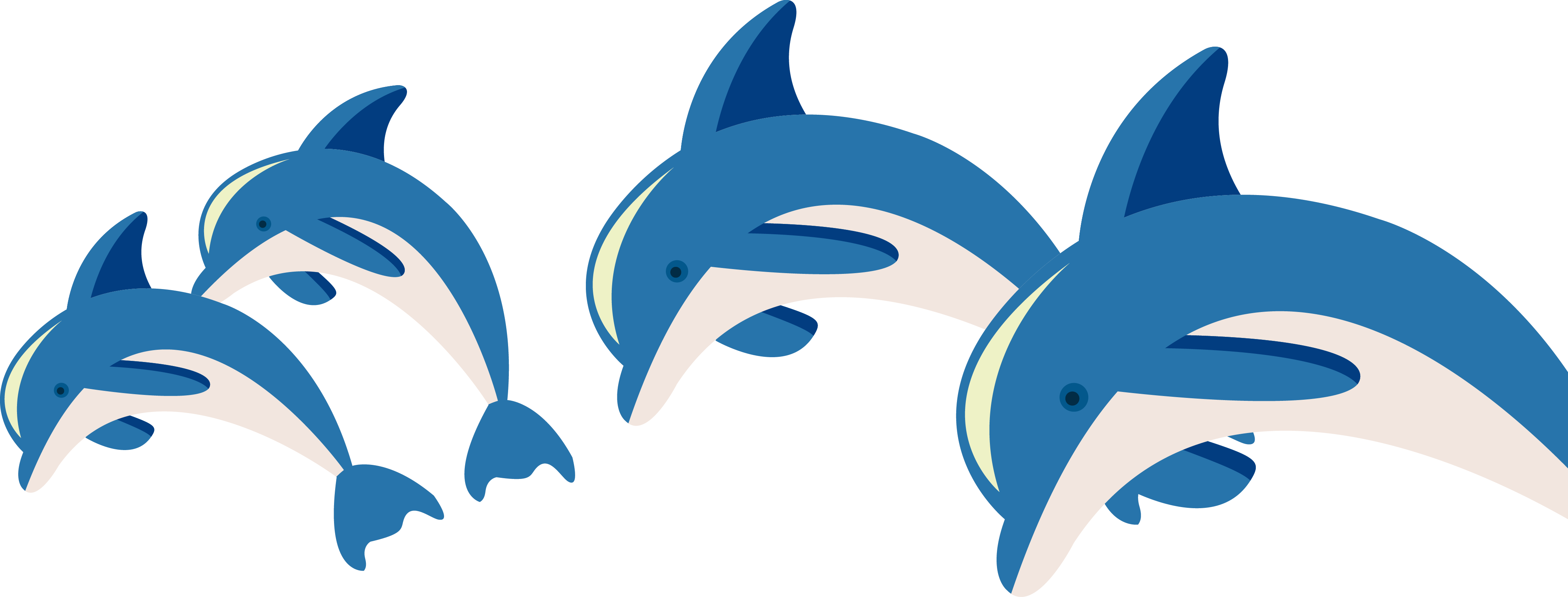 clipart dolphin marine biology
