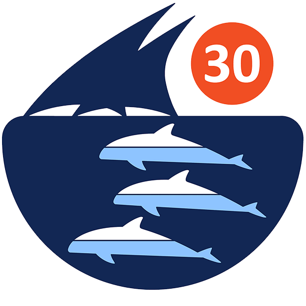 clipart dolphin marine biome