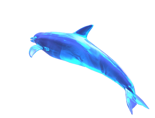 dolphins clipart moving picture