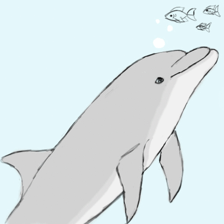 clipart dolphin moving picture