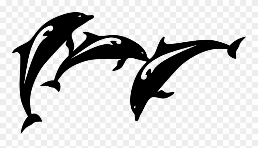 clipart dolphin ocean dolphin