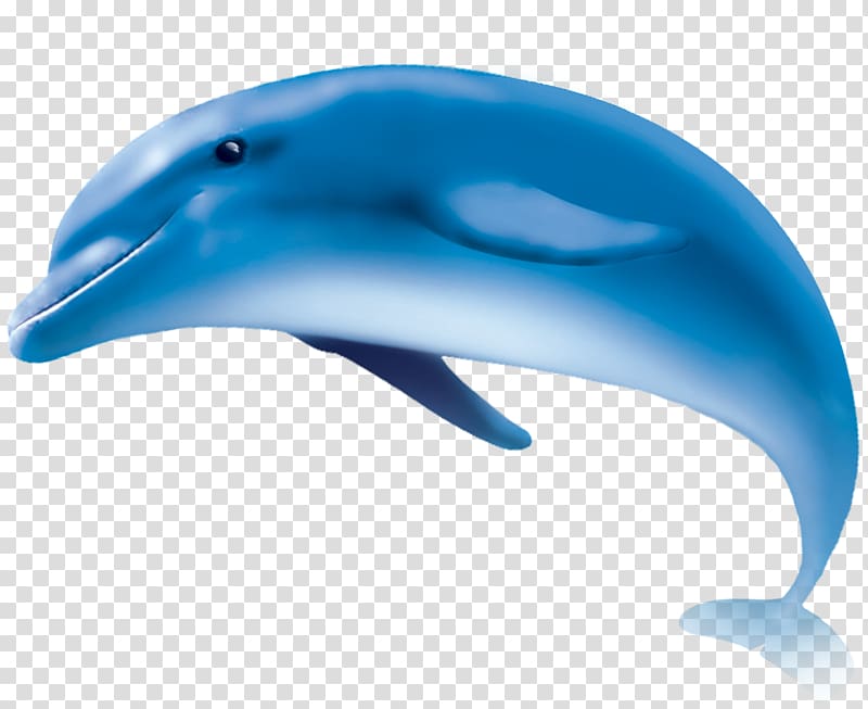 clipart dolphin porpoise