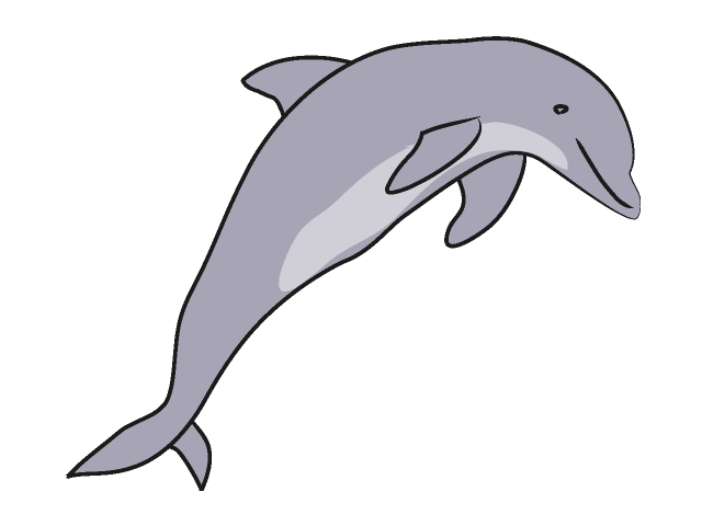 clipart dolphin public domain