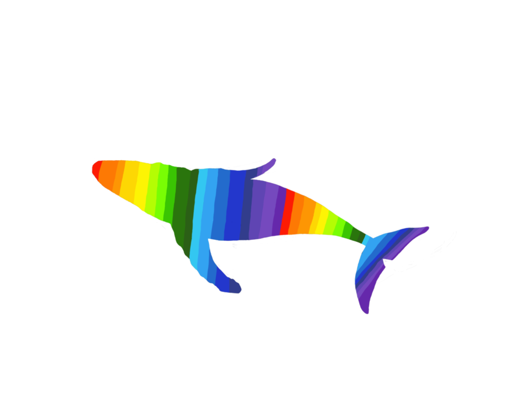 Rainbow silhouette by balaenoptera. Clipart whale humpback whale