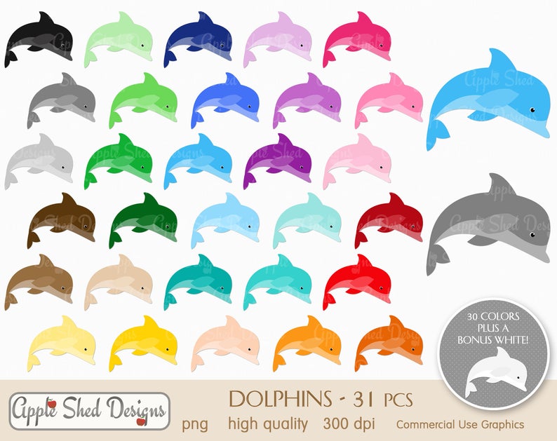 clipart dolphin rainbow