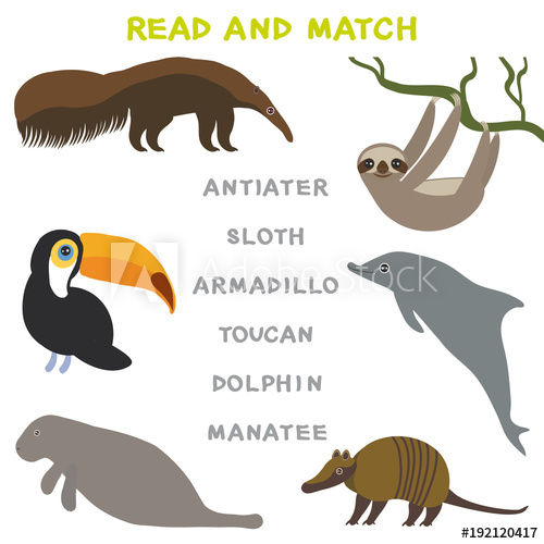 Clipart dolphin reading fun. Kids words learning game