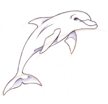 Dolphin clipart easy. Tattooed in dolphins tattoo