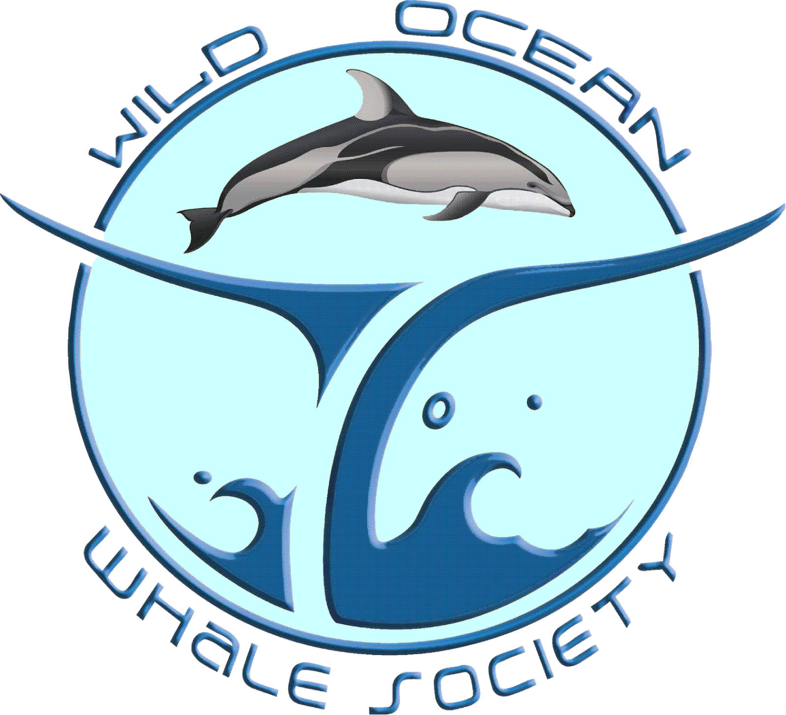 Whales and dolphins bc. Clipart dolphin scene