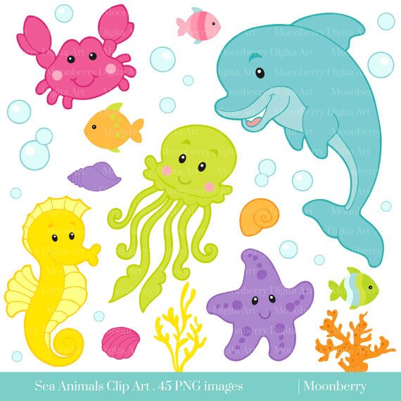 dolphins clipart seahorse