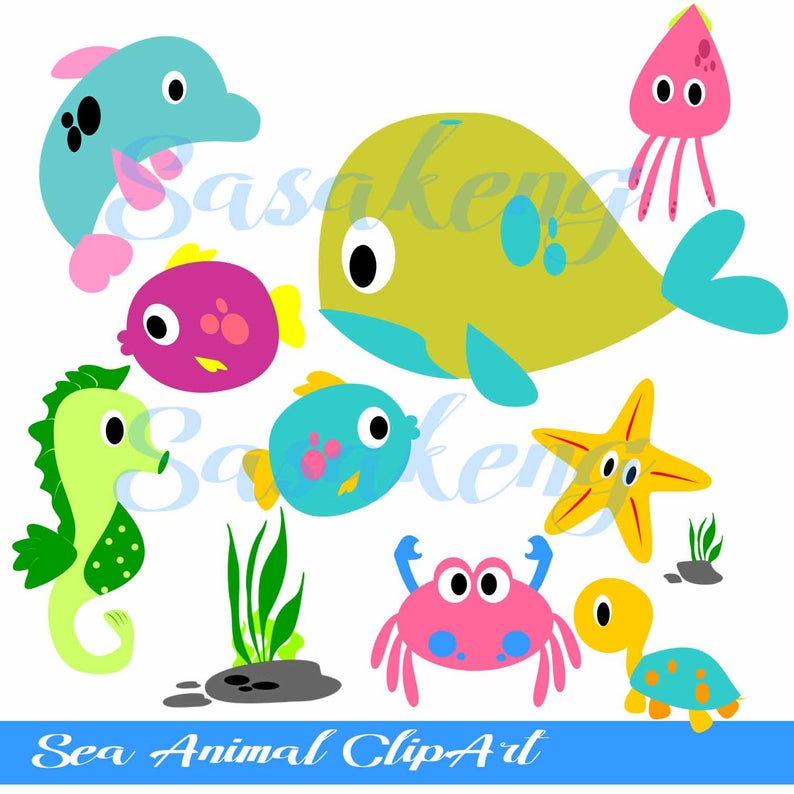 squid clipart water animal