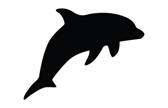 clipart dolphin shadow