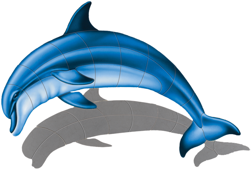 dolphin clipart shadow