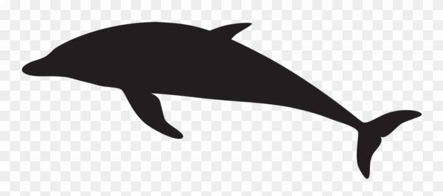 clipart dolphin shadow