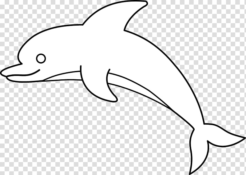 Common bottlenose dolphin transparent. Dolphins clipart mammal