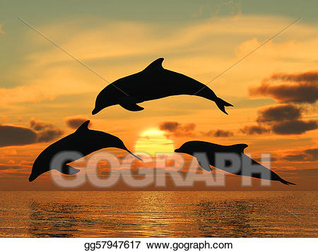 sunset clipart dolphins