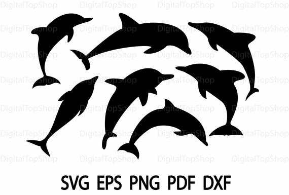 clipart dolphin svg