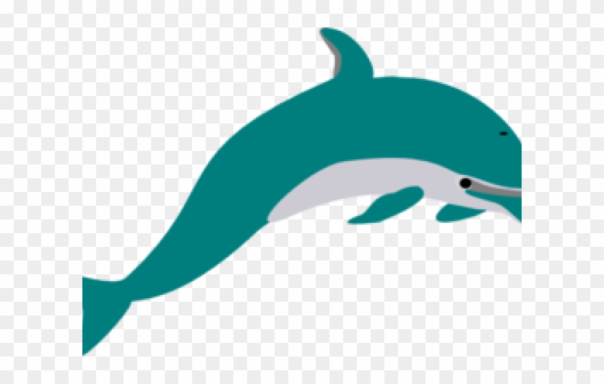 dolphin clipart teal