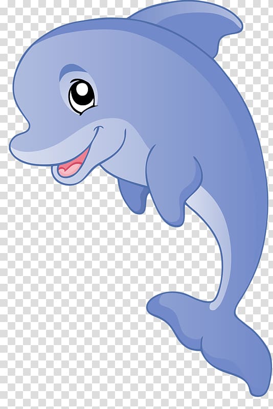 Dolphins clipart mammal. Dolphin png images free