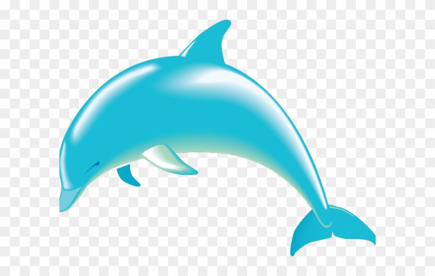 clipart dolphin transparent background