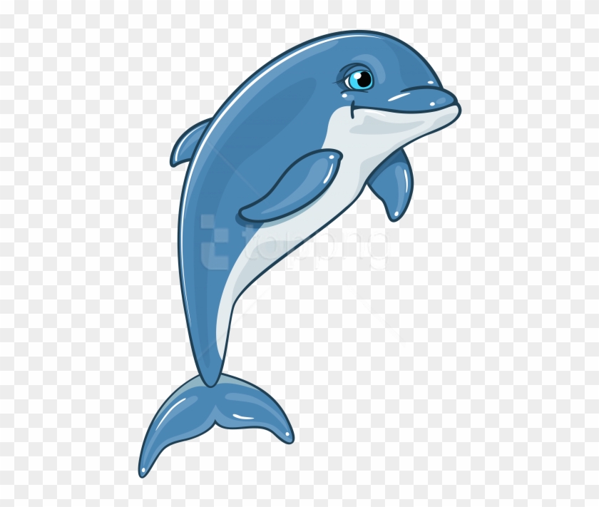 dolphin clipart clear background