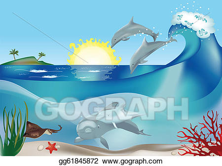 clipart dolphin underwater