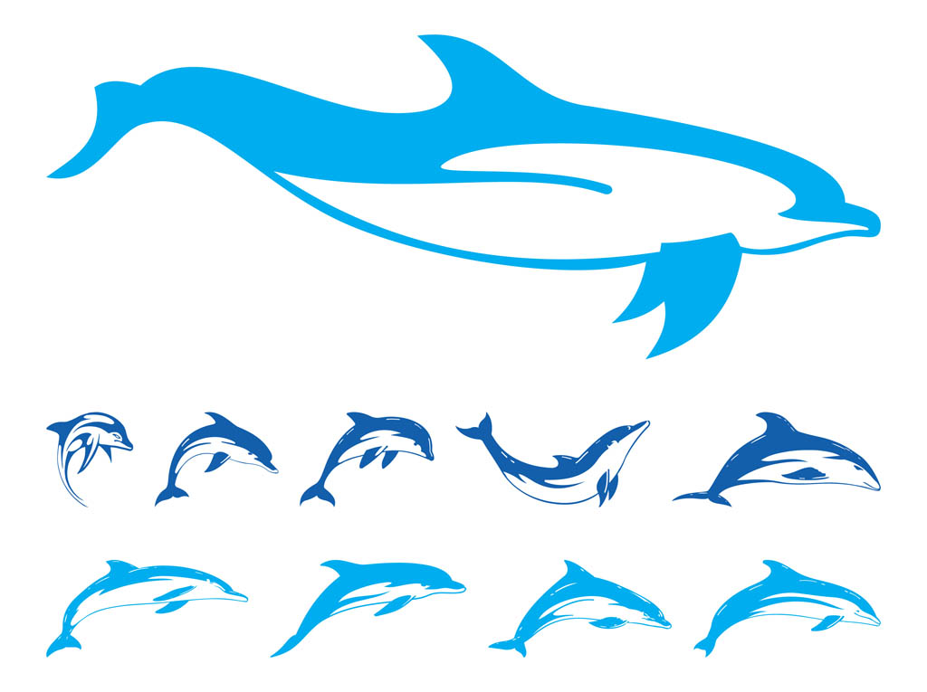 clipart dolphin vector