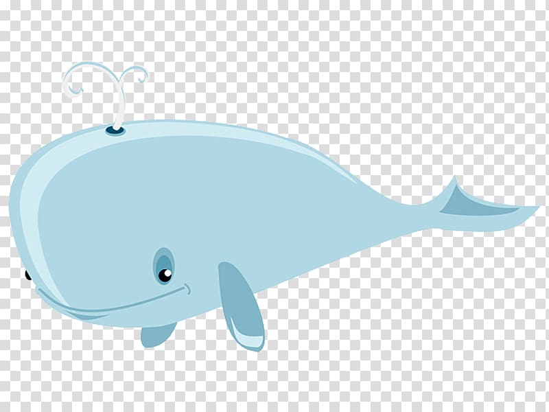 clipart dolphin whale