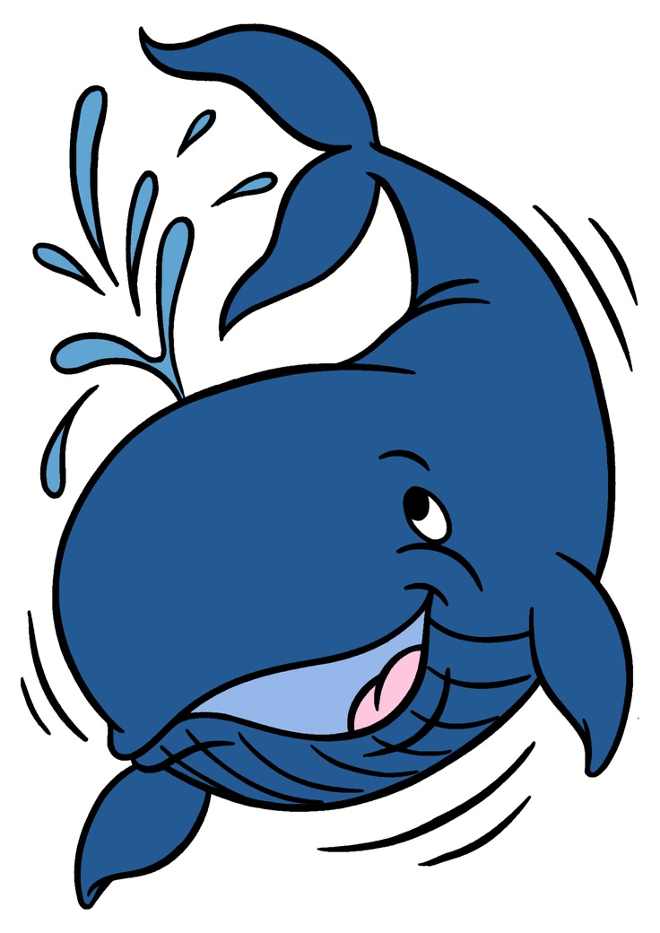 dolphin clipart whale