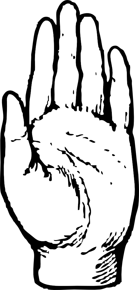 clipart hand plant