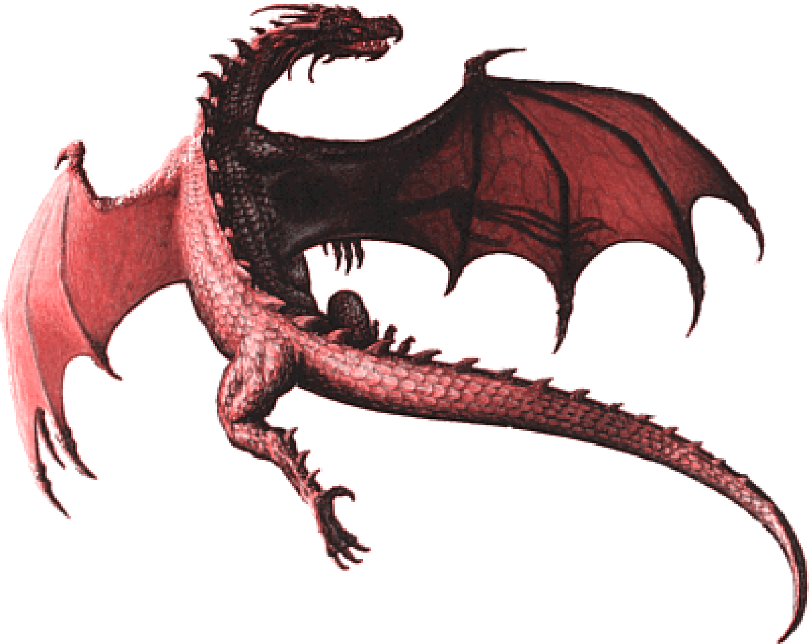 Clipart dragon clear background. Png transparent images all