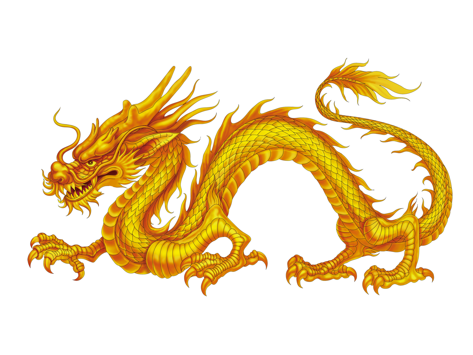 clipart dragon dragon japanese