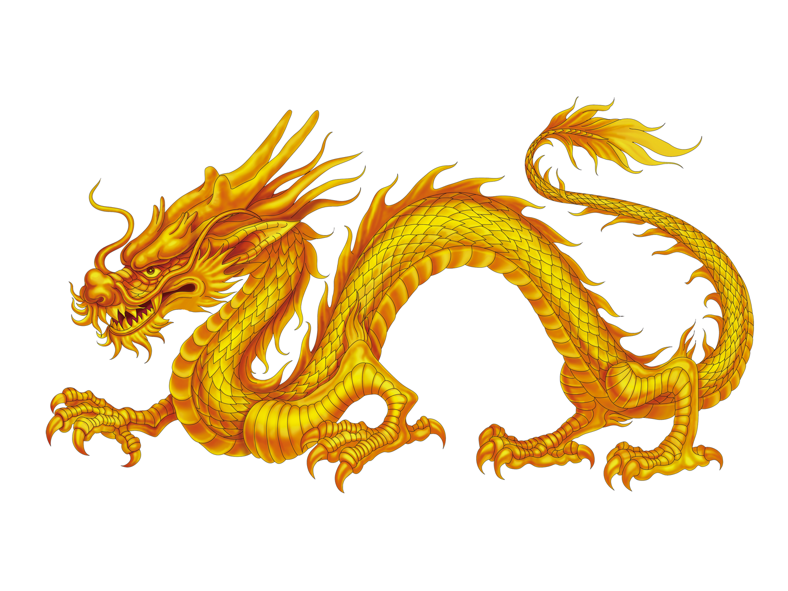 China chinese transprent. Clipart dragon dragon japanese