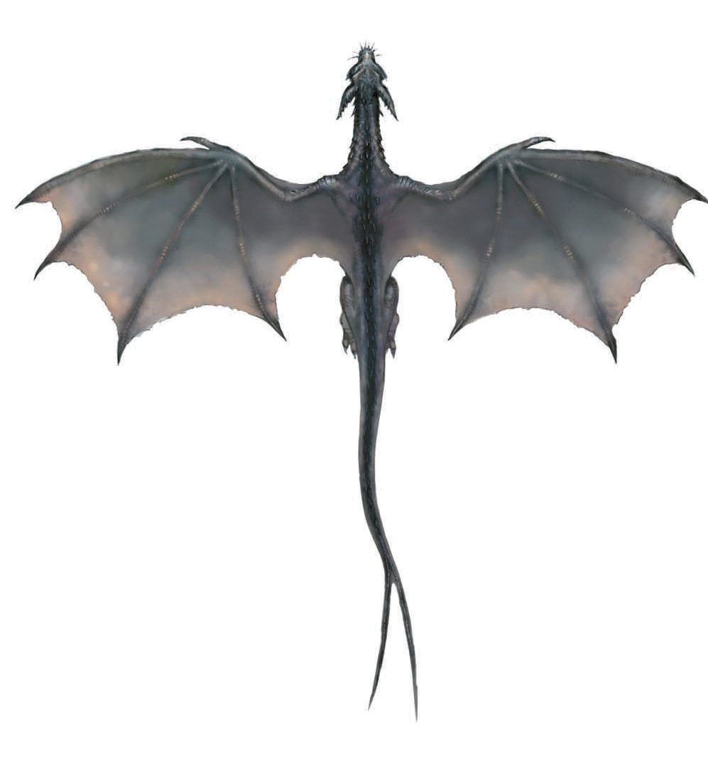 Image detail for gray. Dragon clipart drogon