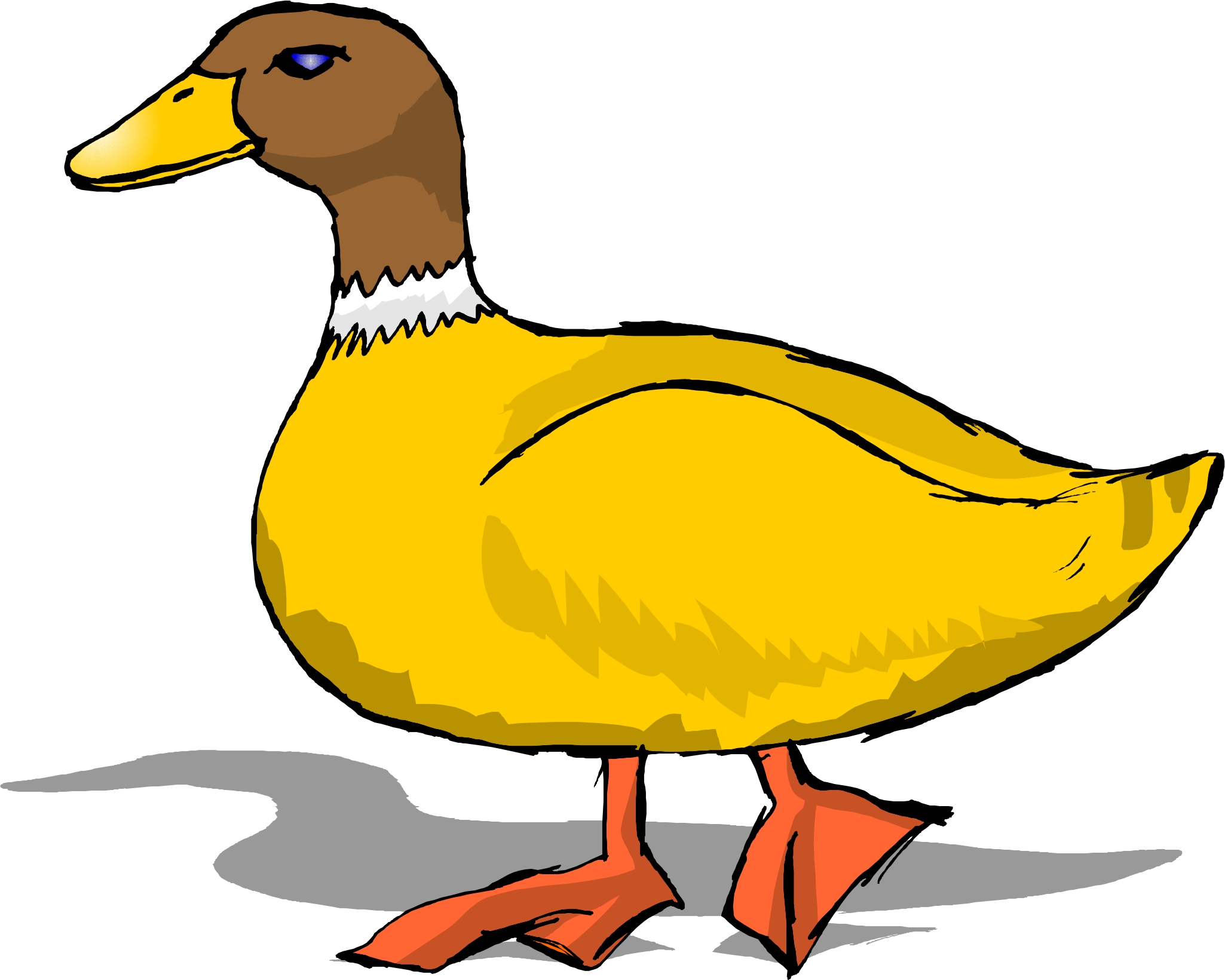 duck clipart real duck