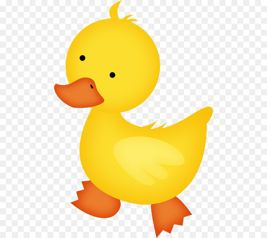 Ducks clipart bird. Baby duck illustration transparent