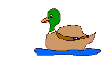 duckling clipart animated