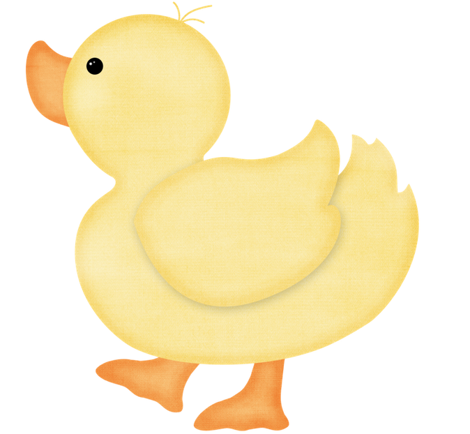 Photo by luh happy. Duckling clipart fat duck