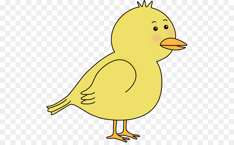 Clipart duck bird. Cartoon drawing transparent clip