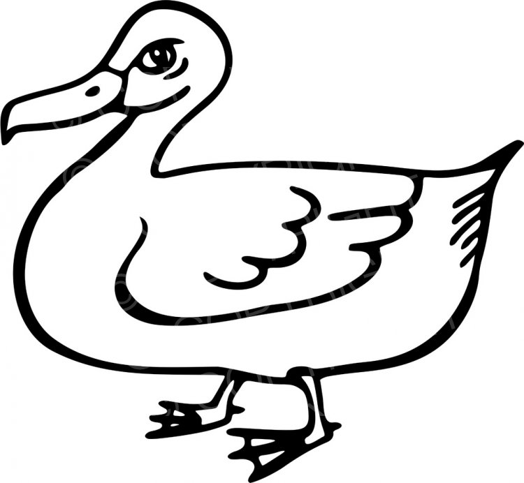 clipart duck black and white