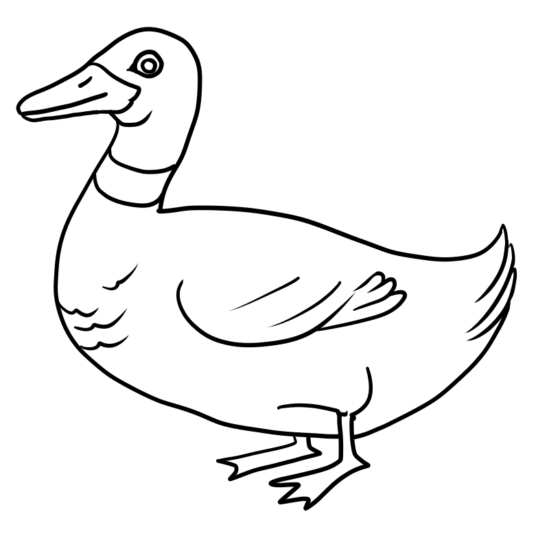 clipart duck black and white