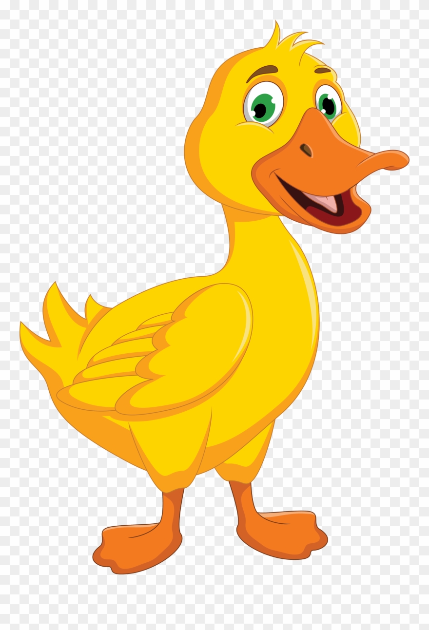 Clipart duck cartoon duck. Wings thumbs up png