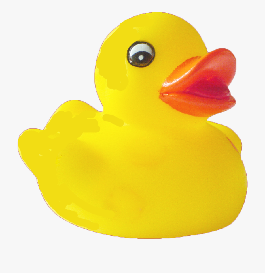 Rubber duck png . Duckling clipart transparent background
