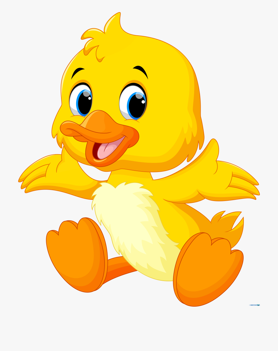 Ducks clip art transprent. Clipart duck cute