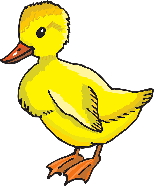 Duckling clipart wetland animal. Duck small frames illustrations