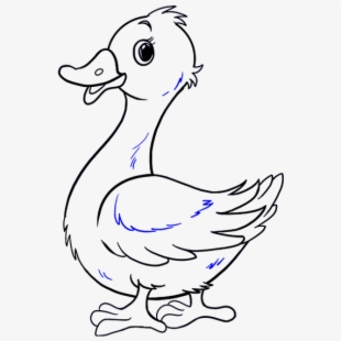 clipart duck drawing